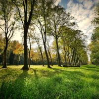 Samedi 9 juillet 2022 : Rendez-vous en nature au Parc du Grand Blottereau